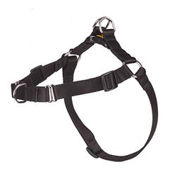 DINGO Easy Walk - Hundsele - 42-64 cm