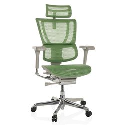 hjh OFFICE Chaise de Bureau Ergonomique ERGOHUMAN Slim G GEN2 Design Original, Utilisation 24h/24, Chaise pivotante avec Soutien Lombaire Flexible, Filet Vert