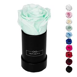 Infinity Flowerbox Extra S - 1 Rosa Real en Menta, Dura 3 años sin riego