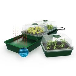 Bio Green Hollandia Plantenkweekset voor de vensterbank, 3 aparte klimaatkamers, geïntegreerde verwarming met 12,5 watt, capillaire irrigatiemat, waterreservoir van 1,4 l, 54 x 21 x 17 cm (b x d x h)