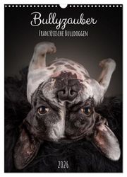 Bullyzauber - Französische Bulldoggen (Wandkalender 2026 DIN A3 hoch), CALVENDO Monatskalender: Französische Bulldoggen optimal in Szene gesetzt.