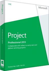 Microsoft Project Professional 2013