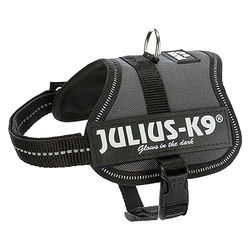 Harnais K9 Power, Taille: 2XS/Baby 2, Anthracite