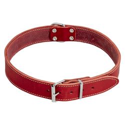 Jack and Vanilla - Collier pour Chien Cuir Gras - Matière Solide, Durable, Facile à Entretenir, Toucher Doux et Agréable - Look Moderne - Couleur Rouge, Taille 30 mm x 60 cm