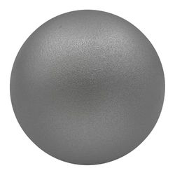 Champion Sports Fer Shot Put, 2,7 Kilogram