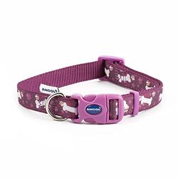 Ancol Collier pour Chien Tendance Violet en Nylon réglable pour Chiots et Animaux de Compagnie – Design élégant de Patte et d'os avec Fermeture à Bouton-Pression – Résistant aux intempéries et