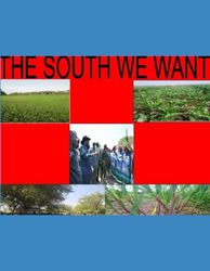 THE SOUTH WE WANT