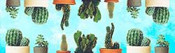 Passatoia da cucina, 100% Made in Italy, Tappeto antimacchia con stampa digitale, Runner antiscivolo e lavabile, Modello Cactus - Bridgette, cm 180x52