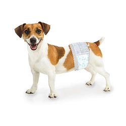 Wee-Wee Products Disposable Male Dog Wraps (12 Pack), X-Small/Small