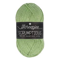 Scheepjes Scrumptious Yarn, 318 Pistachio Bundt Cake, 1x100g