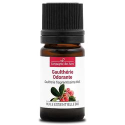 GAULTERIA ODOROSA BIO - 5mL - Olio Essenziale di Qualità Premium - 100% Puro, Naturale, Garantito ChromaCert® - Chemiotipizzato & Integrale