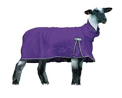 Weaver Leather Livestock ProCool Mesh Sheep Blanket with Reflective Piping, Purple, Large