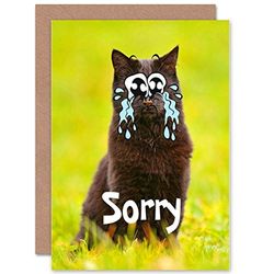 Wee Blue Coo Occasion Sorry Pleuring Chat Drôle Larmes Art Carte de Vœux Cadeau