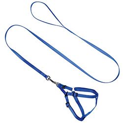 Arppe 2284010007 Imbracatura Cinghia Nylon Esposizione, Blu