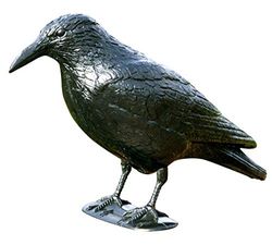 Windhager Répulsif Oiseaux Crow, Défense de Pigeon en Plastique, Protection Contre Les Oiseaux, Lutte Contre Les nuisibles, 37 cm, Noir, 07117