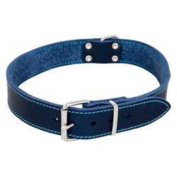JACK AND VANILLA, Collier en Cuir pour Chien, Normal, Confortable et Durable, Boucle sécurisée, Ajustable, Couleur Bleu, 10 mm x 25 cm, Modèle Cuir Gras