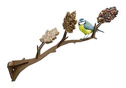Graines de Decouverte - 430148 - Un Oiseau à ma fenêtre - Fabriqué en France