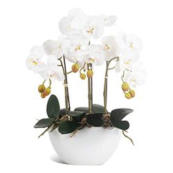 Ziwon Orchidée Artificielle en Pot dans Un Pot en céramique, orchidée phalaenopsis Blanche pour Centre de Table, Fausse Fleur réaliste dans Un Vase pour la Maison, Le Bureau, l'intérieur