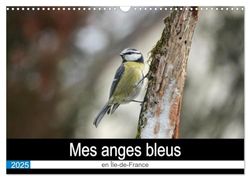 Mes anges bleus en Île-de-France (Calendrier mural 2025 DIN A3 vertical), CALVENDO calendrier mensuel: La mésange bleue dans des postures improbables