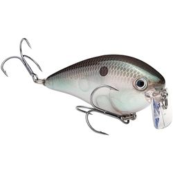 Strike King (HCKVD2.5W-568) KVD 2.5 Wake Bait - Señuelo de Pesca, 568 - sábalo de molleja Verde, 3/8 onzas, Sonido único de chasquido