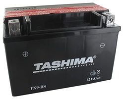 Greenstar 11541 batterij AGM YTZ10S