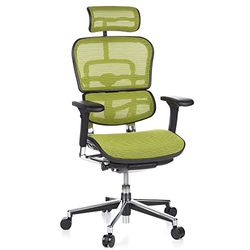 hjh OFFICE 652140 Silla de Oficina ERGOHUMAN Silla Escritorio en Malla Verde, Silla giratoria ergonómica, Reposabrazos Regulables