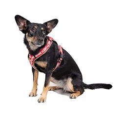 Dog RBF Harness alpha industries Color 142-dark Olive para Perro Talla XS