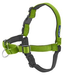 PetSafe EWH-D-HC-M-APL Arnés Deluxe Easy Walk, Mediano, Verde Manzana, Nailon
