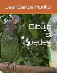 Dibuja si puedes