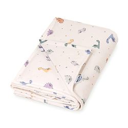 Julius Zöllner LittleDinos Couverture doublée en Jersey de Coton | Taille 70 x 100 cm | Fabriqué en Allemagne | Certifié Oeko-Tex Standard 100