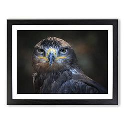 Eagle Bird No.2 Modern Framed Wall Art Print, Ready to Hang Picture for Living Room Bedroom Home Office Décor, Black A4 (34 x 25 cm)