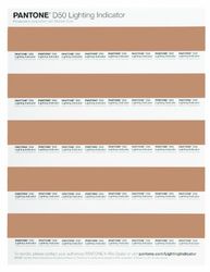 Pantone LNDS-1PK-D50 Lighting Indicator Adesivi D50