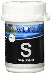 Wildlife FD Blackline FD Sea Snails Vriesdroogde voederslakken, per stuk verpakt (1 x 40 gram)
