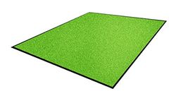 Andersen 1963007 8452 Classic Impressions Plus Solid Tapis Nylon pour un Usage à l'Intérieur, Semelle en Caoutchouc Nitrile, 1224gr/M2, 85 cm Largeur x 150 cm Longueur, Vert Clair