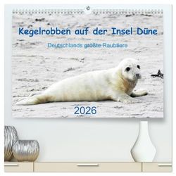 Kegelrobben auf der Insel Düne (hochwertiger Premium Wandkalender 2026 DIN A2 quer), Kunstdruck in Hochglanz: Helgoländer Kegelrobben in Text und Bild