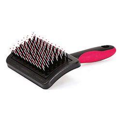 CROCI Carde Brosse pour Chien Vanité M