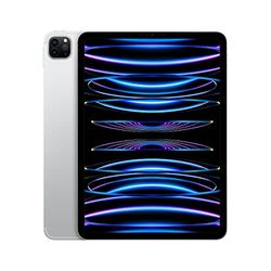 Apple 2022 11‑inch iPad Pro (Wi-Fi + Cellular, 2 TB) - zilver (4e generatie)