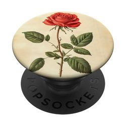 Rosa Floral Vintage Ilustración Científica Flor PopSockets PopGrip Adhesivo