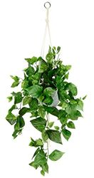 Konstgjord Philo-hängampel med kruka, konstgjord växt, ranka, girlang, grön växt, dekoration, växtampel, grön växt, inomhusväxt, klätterväxt, murgröna, blomampel, krukväxt, konstgjord blomma, Philo