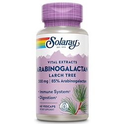 Solaray Arabinogalactan 300mg | Arabinogalactano | 60 VegCaps