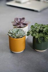 Ivyline Eno Pot de Moutarde D10 cm H10,5 cm