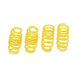 ST 28210372 Lowering Springs