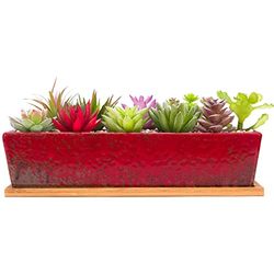 ARTKETTY Grand Pot de Fleurs rectangulaire en céramique de 30,5 cm avec Plateau de Drainage, pour Cactus d'intérieur, Plantes succulentes, bonsaï Peu Profond, décoration de Jardin