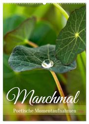Manchmal - Poetische Momentaufnahmen (Wandkalender 2026 DIN A2 hoch), CALVENDO Monatskalender: Ästhetische Aufnahmen und poetischeTexte, die zum Träumen, Staunen und Nachdenken einladen.