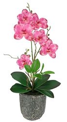 Flair Flower Flor Artificial de orquídea con Hojas y raíces aéreas en Maceta de cerámica, orquídea Artificial, phalaenopsis con Maceta, Planta Artificial, decoración de Boda, Flor de Seda Real