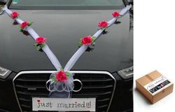 Autoschmuck Organza M Auto Gioielli Sposa Coppia Rose Decorazione Organza M Matrimonio Car Wedding Decorazione (Rosa/Bianco)
