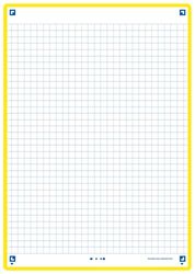 Oxford Revision 2.0 set med 50 perforerade bristolkort A5-format (14,8 x 21 cm) små rutor på båda sidor - gul ram