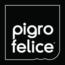 Pigro Felice Ice Pack, Set of 50, 450 g