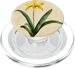 Orquídea Floral Vintage Ilustración Científica Flor PopSockets PopGrip para MagSafe