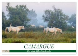 Camargue - Der wilde Süden Frankreichs (Wandkalender 2026 DIN A2 quer), CALVENDO Monatskalender: Landschaft und Tiere des einzigartigen Feuchtgebietes im Rhone-Delta